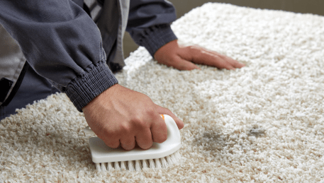 Professional Rug Cleaning Greenvale