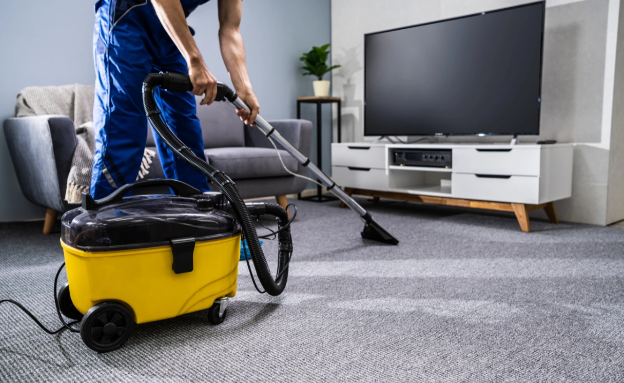 Extract Rug Cleaning Greenvale Contact Office